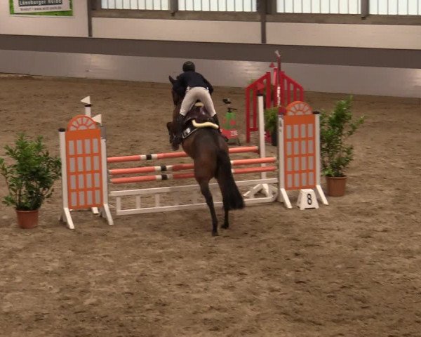 Reitturnier Luhmühlen 2020