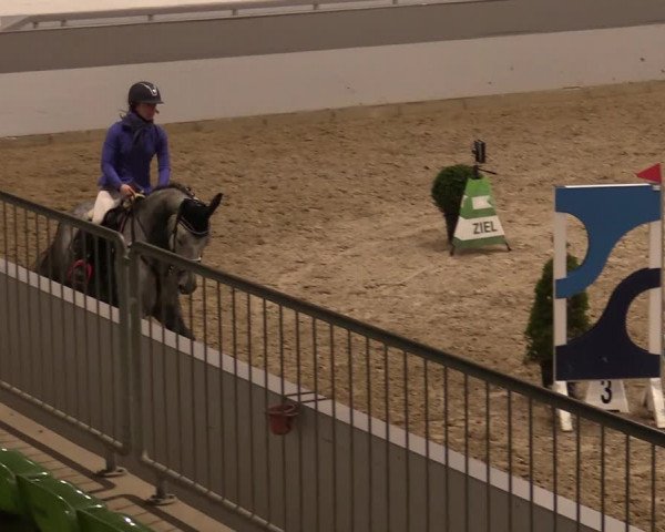 Reitturnier Luhmühlen 2020