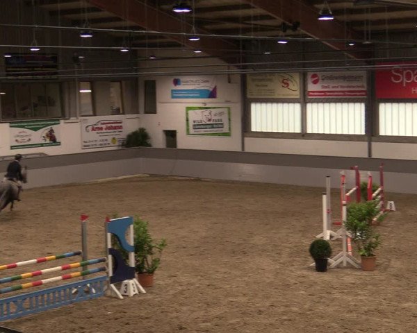 Reitturnier Luhmühlen 2020