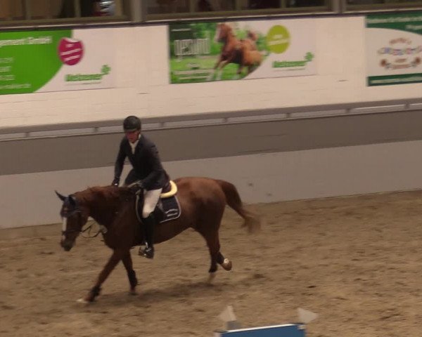 Reitturnier Luhmühlen 2020