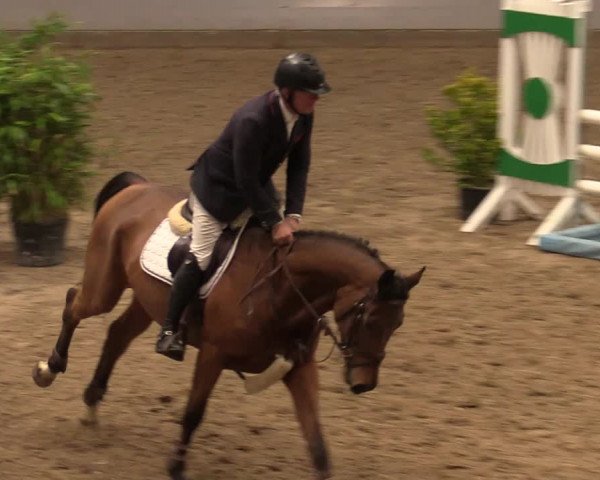 Reitturnier Luhmühlen 2020