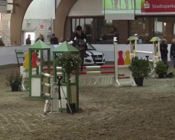 jumper Carlos N (German Riding Pony, 2007, from FS Champion de Luxe)