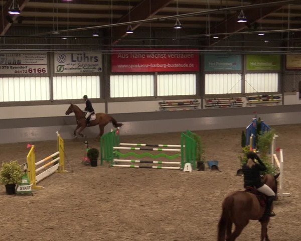 Reitturnier Luhmühlen 2020