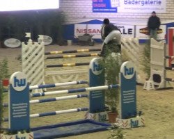 broodmare Cella S (Oldenburg show jumper, 2008, from Cento)