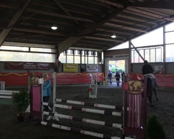 dressage horse Lantana 103 (Oldenburg, 2006, from Landjunge)