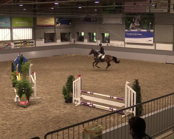 Reitturnier Luhmühlen 2020