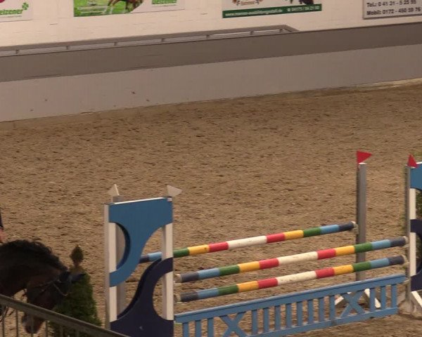 Reitturnier Luhmühlen 2020