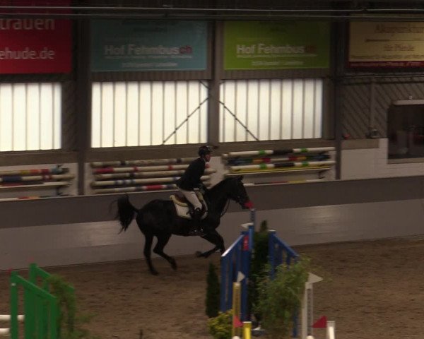 Reitturnier Luhmühlen 2020