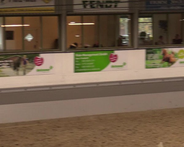 Reitturnier Luhmühlen 2020