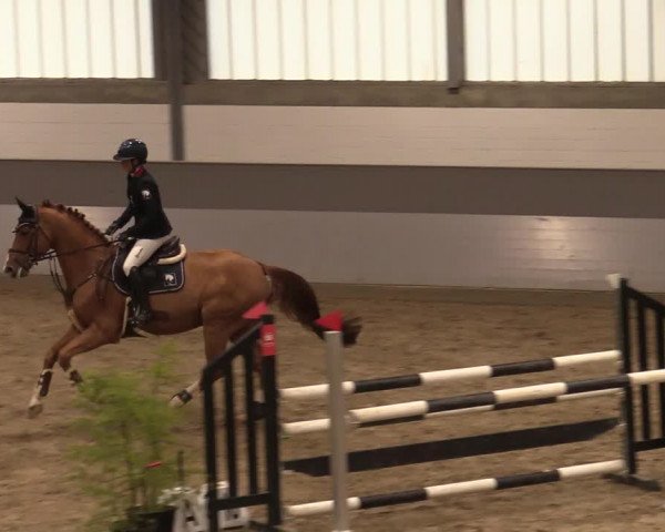 Reitturnier Luhmühlen 2020