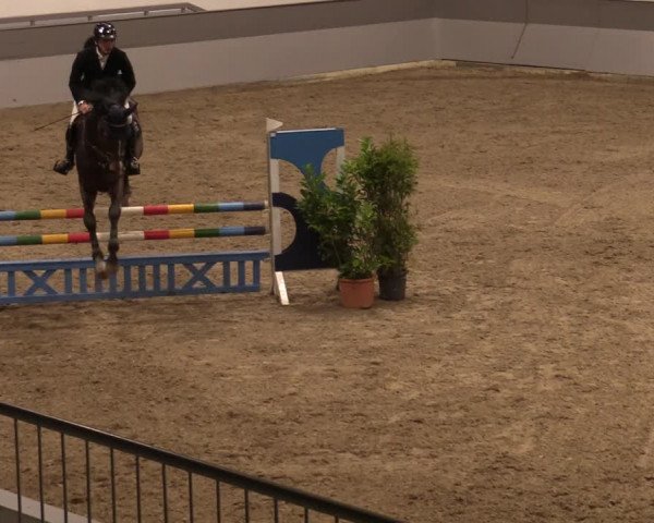 Reitturnier Luhmühlen 2020