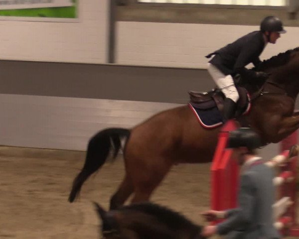 Reitturnier Luhmühlen 2020