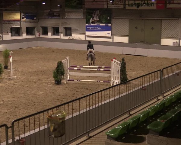 Reitturnier Luhmühlen 2020