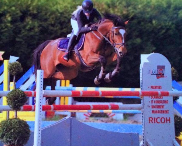 broodmare Ems van de Rostal (Belgian Warmblood, 2004, from Electro)