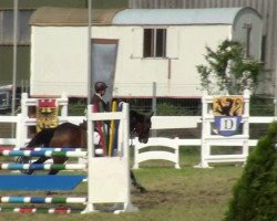jumper Ridge Water (Irish Sport Horse, 2008, from Sovereign Water xx)