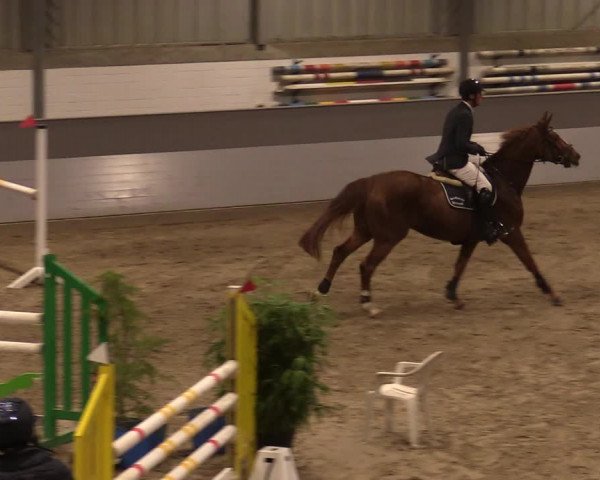 Reitturnier Luhmühlen 2020