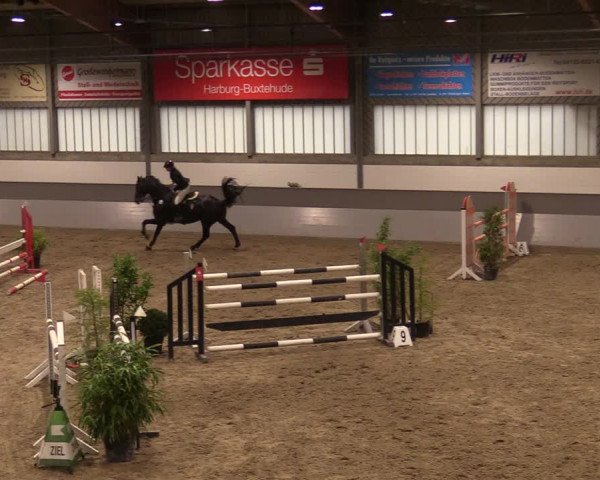 Reitturnier Luhmühlen 2020