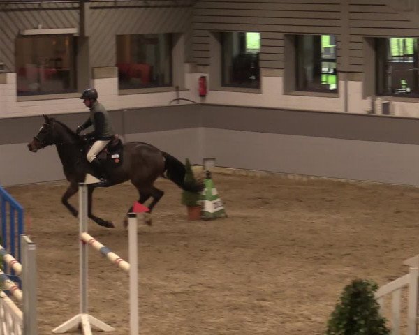 Reitturnier Luhmühlen 2020