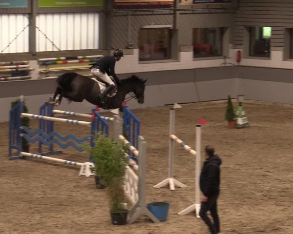 Reitturnier Luhmühlen 2020