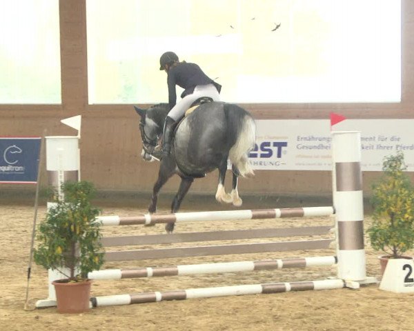 Reitturnier Gut Winkelacker/Obb. 2020