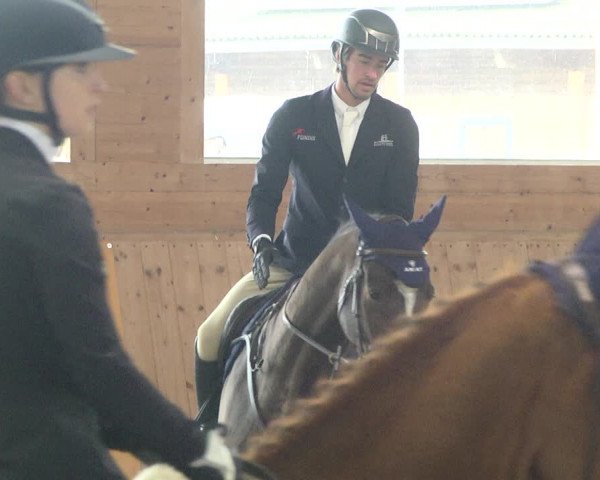 Reitturnier Gut Winkelacker/Obb. 2020