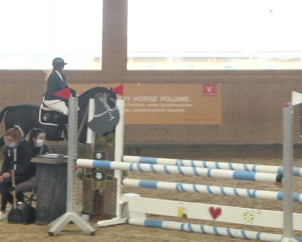 Reitturnier Gut Winkelacker/Obb. 2020