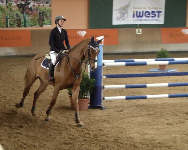 Reitturnier Gut Winkelacker/Obb. 2020