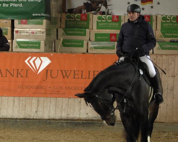 Reitturnier Gut Winkelacker/Obb. 2020