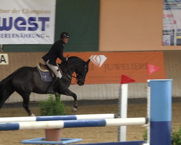 Reitturnier Gut Winkelacker/Obb. 2020