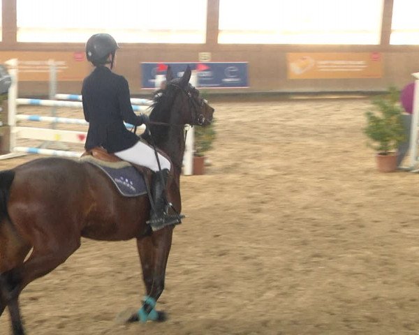 Reitturnier Gut Winkelacker/Obb. 2020