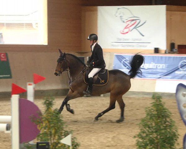 Reitturnier Gut Winkelacker/Obb. 2020