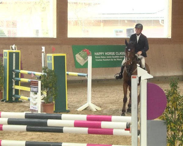 Reitturnier Gut Winkelacker/Obb. 2020