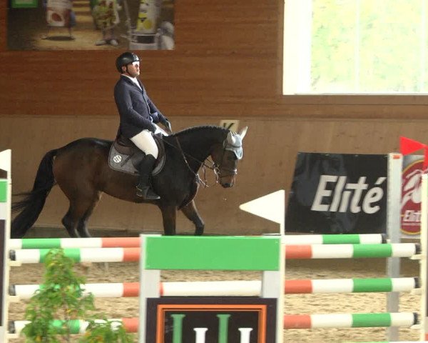 Reitturnier Gut Winkelacker/Obb. 2020