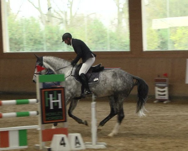 Reitturnier Gut Winkelacker/Obb. 2020
