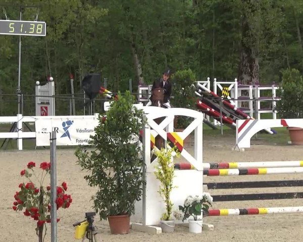 jumper Las Vegas 199 (Bavarian, 2007, from Lascaro K)