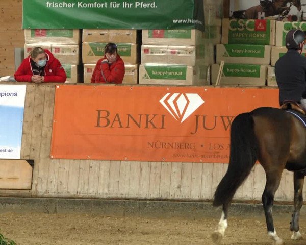 Reitturnier Gut Winkelacker/Obb. 2020