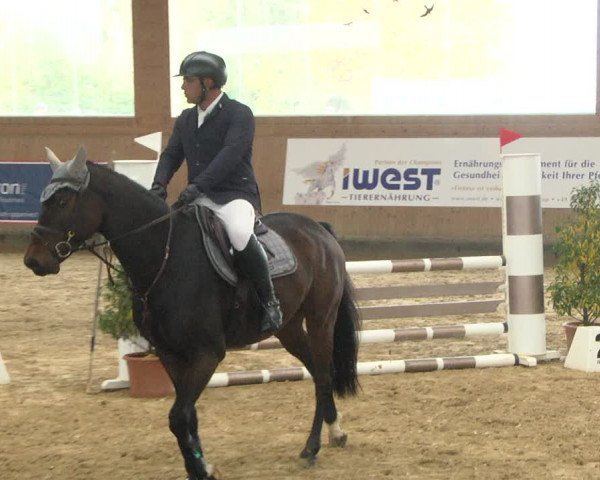 Reitturnier Gut Winkelacker/Obb. 2020