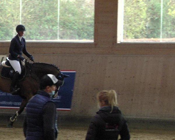 Reitturnier Gut Winkelacker/Obb. 2020