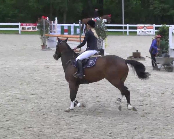 jumper Bell petit Fleur (Oldenburg, 2008, from Balou del Sol)