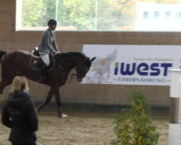 Reitturnier Gut Winkelacker/Obb. 2020