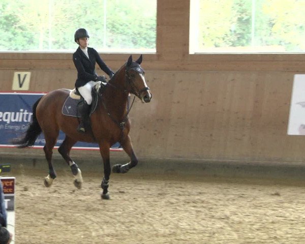 Reitturnier Gut Winkelacker/Obb. 2020