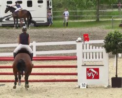 jumper Lupicus (KWPN (Royal Dutch Sporthorse), 2007, from Lupicor)