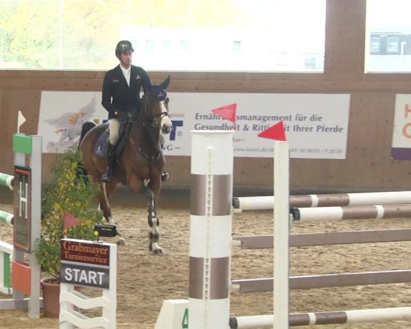 Reitturnier Gut Winkelacker/Obb. 2020