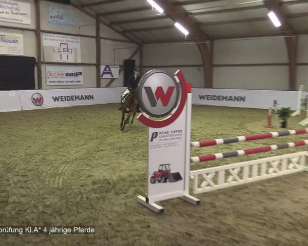 Reitturnier Barlo-Bocholt 2020
