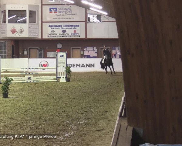 Reitturnier Barlo-Bocholt 2020