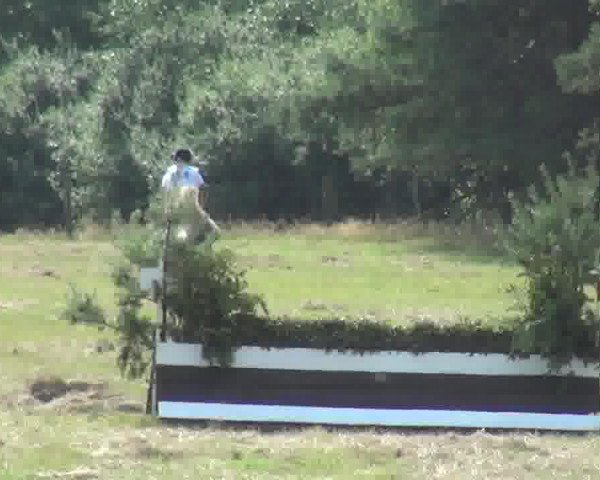 broodmare Cabana S (Oldenburg show jumper, 2008, from Conello)