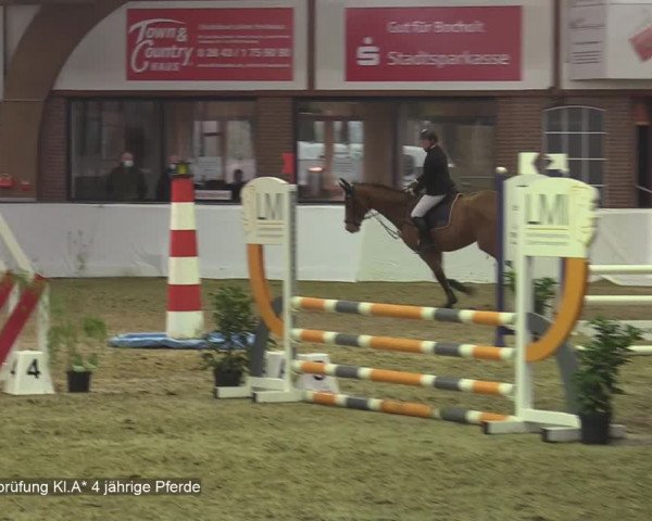 Reitturnier Barlo-Bocholt 2020