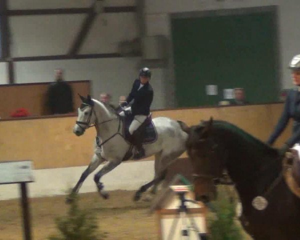 jumper Eisfee (Hanoverian, 2007, from Embassy I)