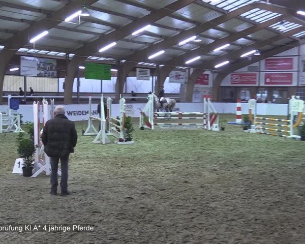 Reitturnier Barlo-Bocholt 2020