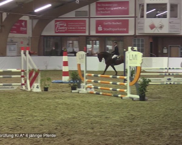 Reitturnier Barlo-Bocholt 2020